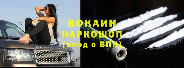амф Новодвинск