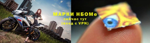амф Новодвинск