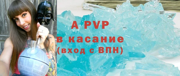 амф Новодвинск
