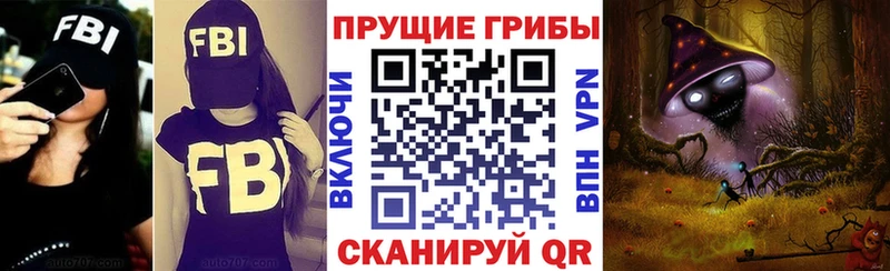 Галлюциногенные грибы GOLDEN TEACHER  где найти наркотики  Наволоки 